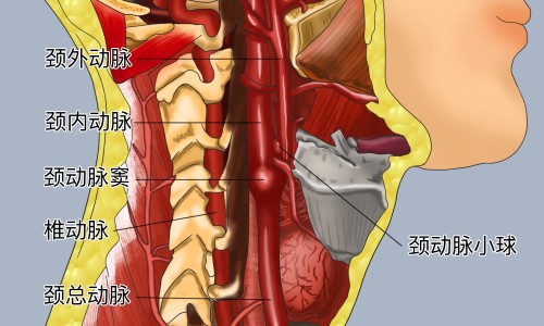 花生绿豆浆的功效和作用-花生绿豆浆的功效网 - 花生和绿豆能打浆喝吗,花生绿豆浆的功效与作用
